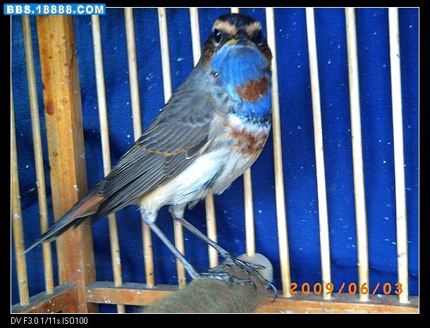 PICT0016.jpg
