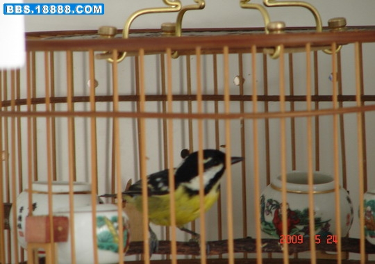 DSC09661_缩小大小.JPG