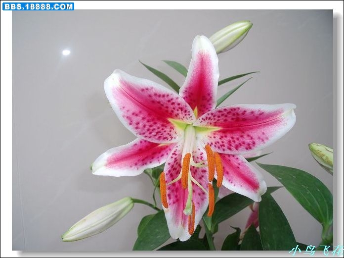 DSCF2792.jpg