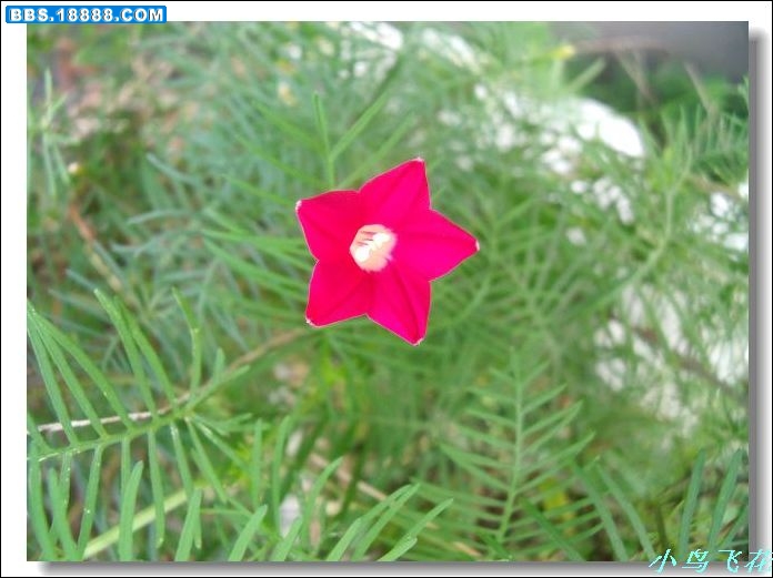 DSCF2822.jpg