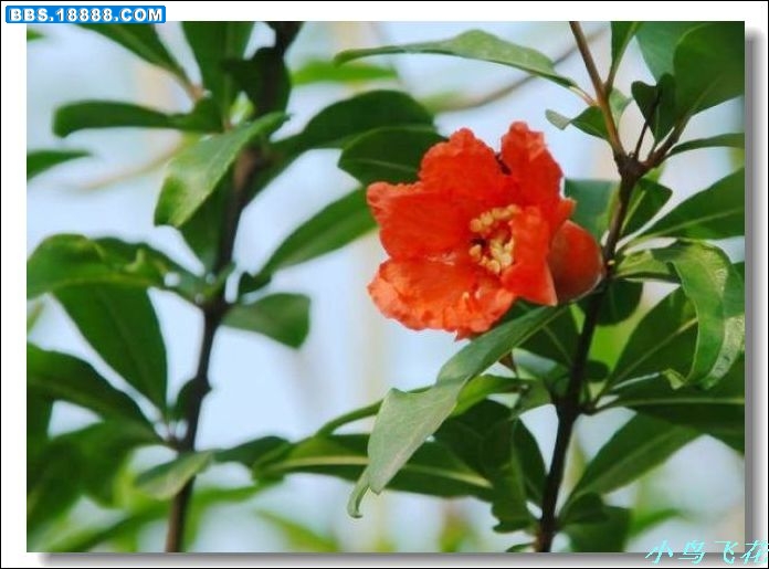 DSCF2770.jpg