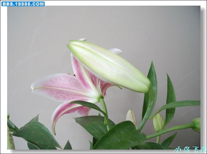 DSCF2790.jpg