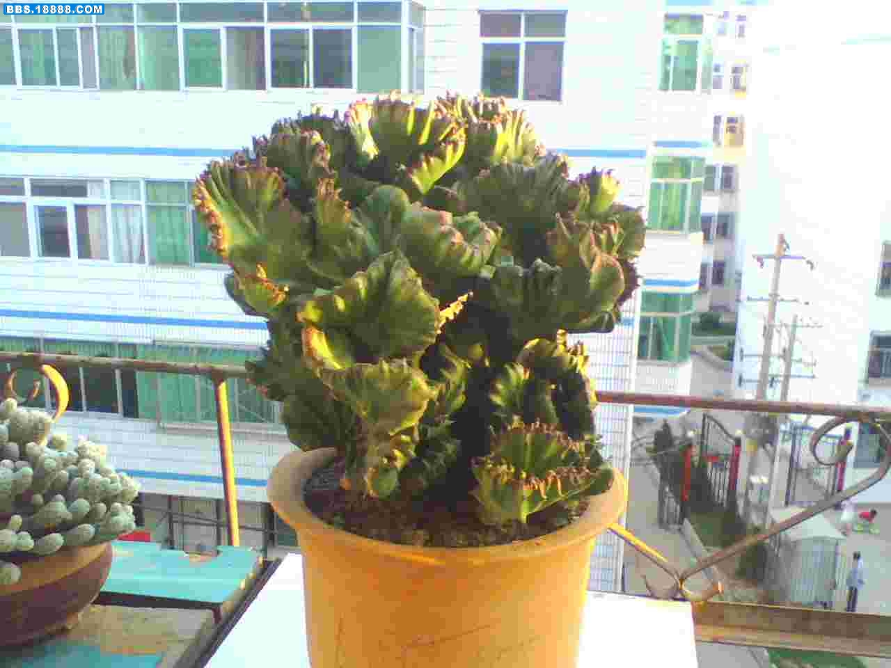 PH0907271929-010.jpg
