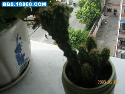 调整大小 KIF_3839.JPG