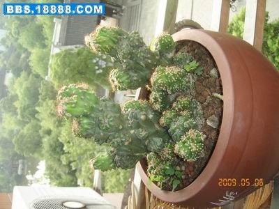 调整大小 KIF_3843.JPG