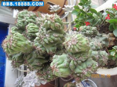 调整大小 KIF_3834.JPG