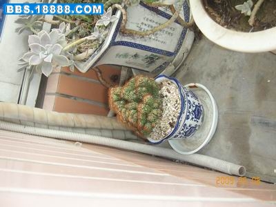 调整大小 KIF_3832.JPG
