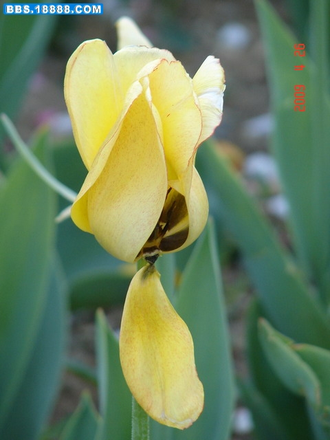 DSC08855_缩小大小.JPG