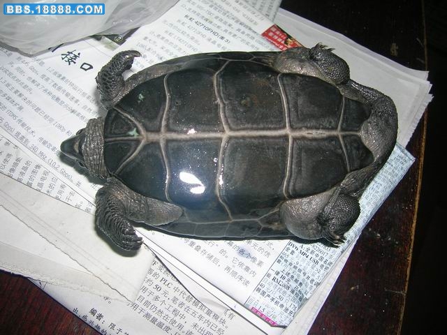 调整大小 DSCN1464.JPG
