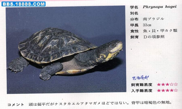 1 (205).jpg