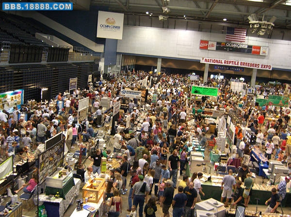 nEO_IMG_Expo.jpg