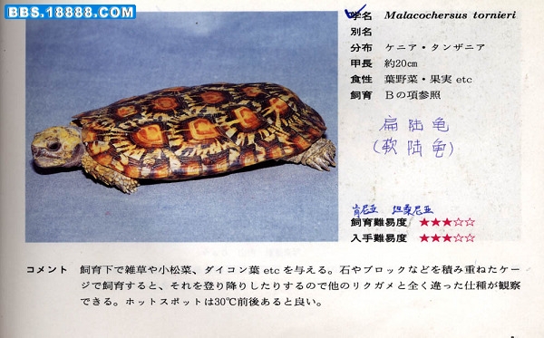 1 (197).jpg