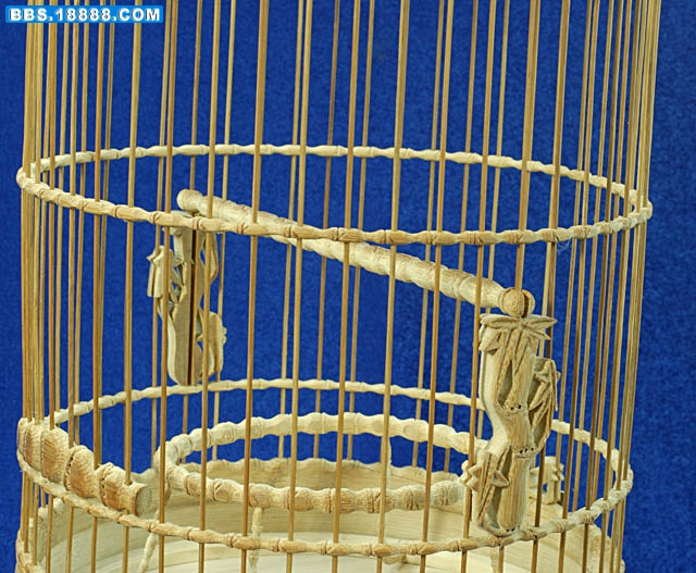 照片 314.jpg
