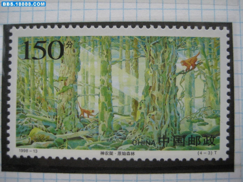 9850.JPG