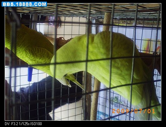nEO_IMG_PICT0780.jpg