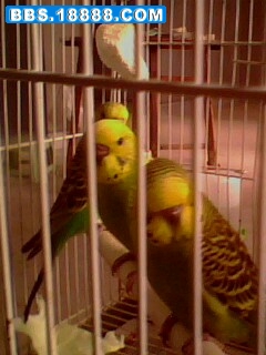 IMG0147A.jpg