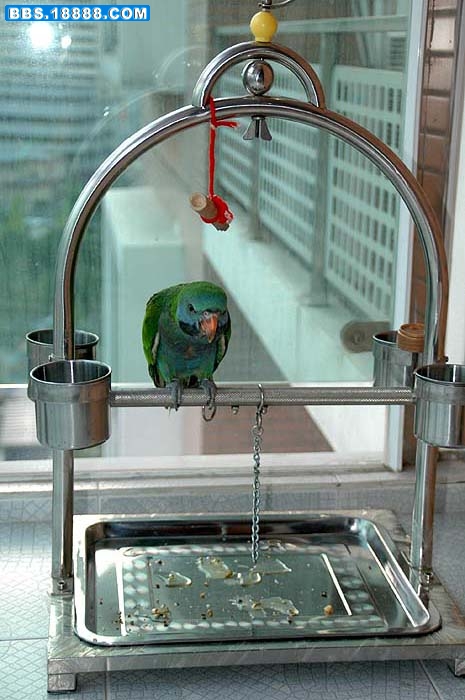 DSC_0248.jpg