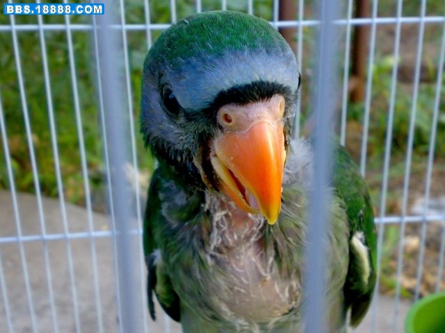 20090720096.jpg