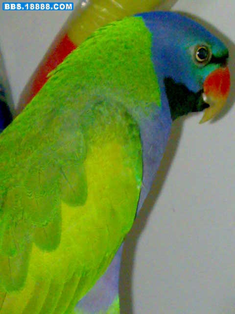 20090627493.jpg