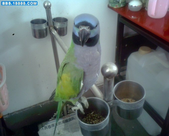 IMG0290A.jpg