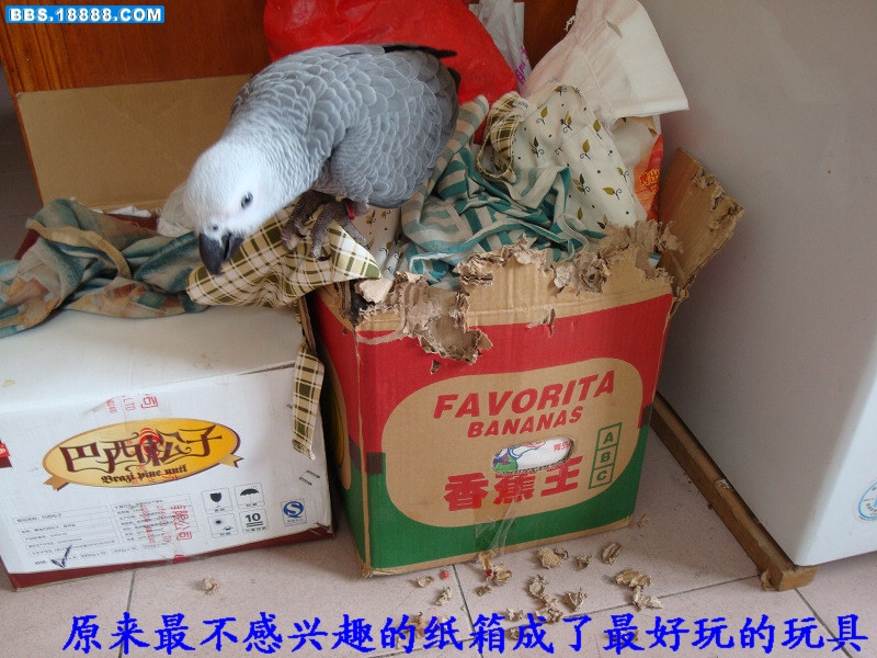 DSC02170.JPG