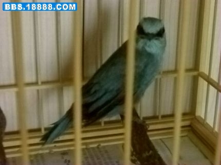 nEO_IMG_200907121727.jpg