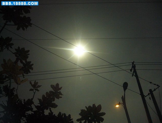 2009_7_22_67247_9667247.jpg