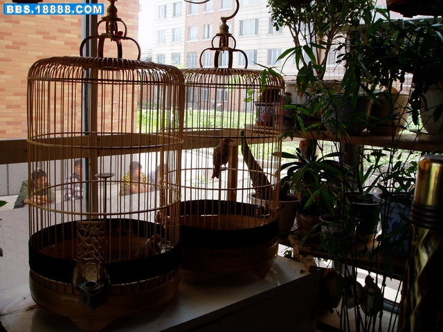 P1010299.JPG