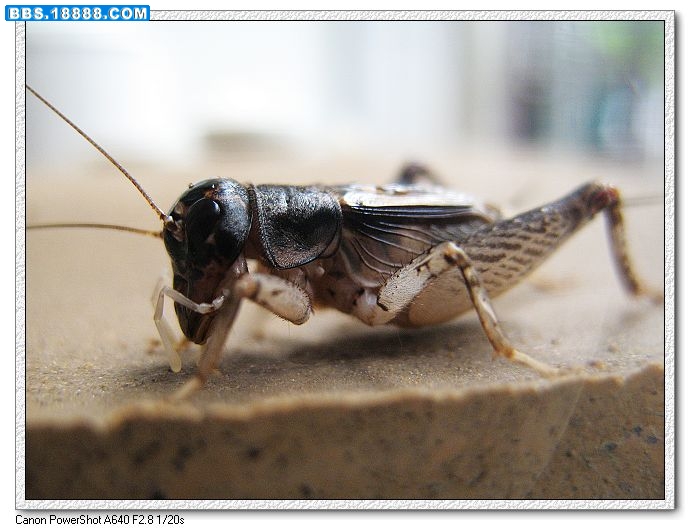nEO_IMG_照片 008.jpg