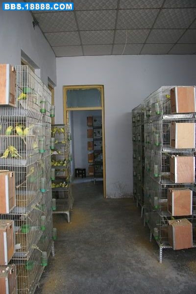 IMG_6132.jpg