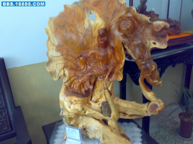 20090712221.jpg