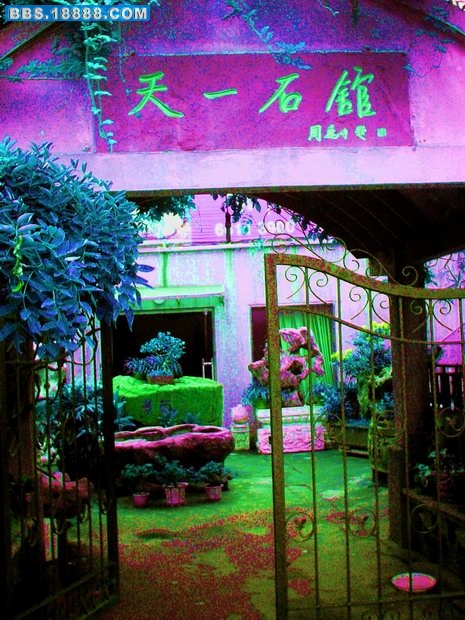 PCDV0049.JPG