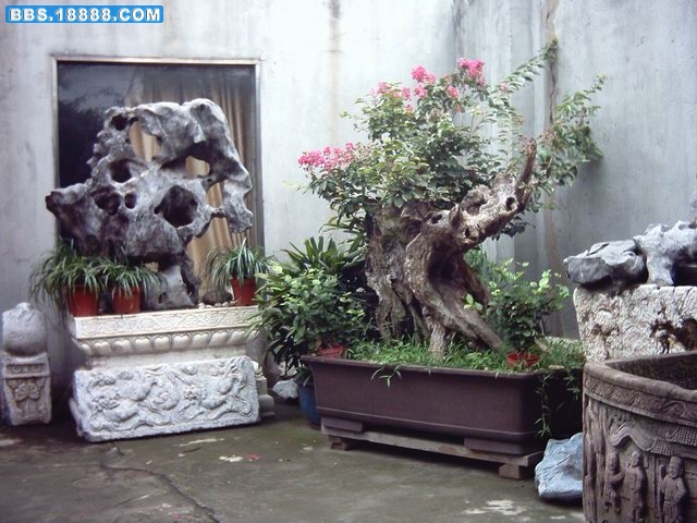 PCDV0051.JPG