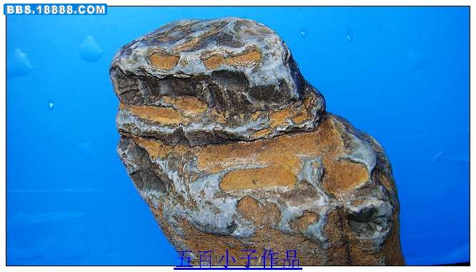 nEO_IMG_DSC07330.jpg