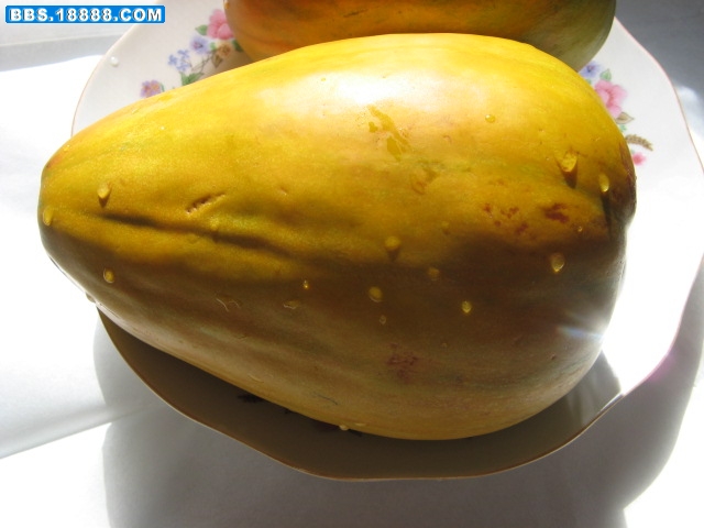 菜园子2 025.jpg