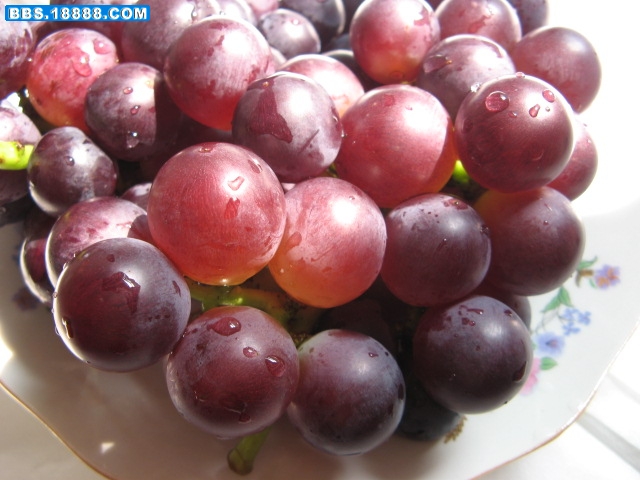 山 078.jpg