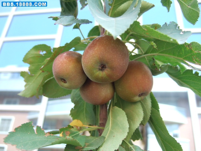DSCF6767.JPG