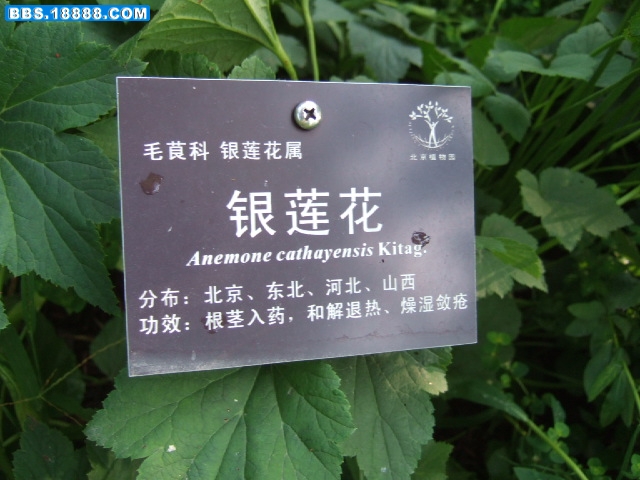 DSCF6927.JPG