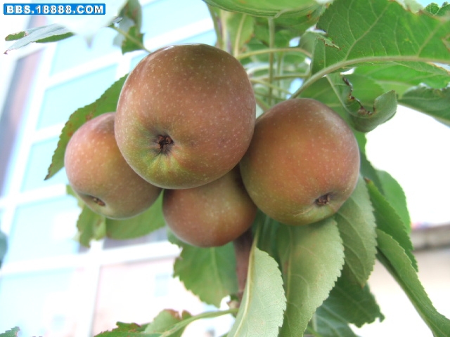 DSCF6769.JPG