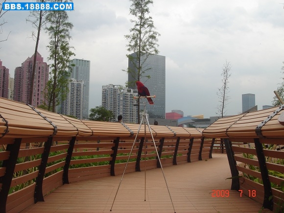 DSC04305.jpg