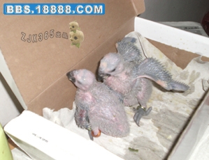 CIMG4992副本.jpg