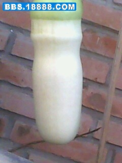IMG0035A.jpg