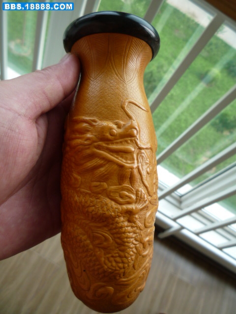 P1000824.JPG