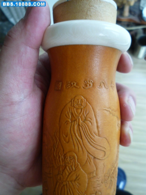 P1000845.JPG