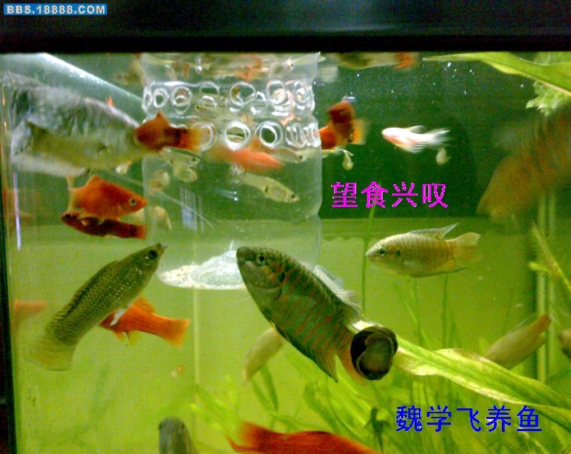 200907113461.jpg