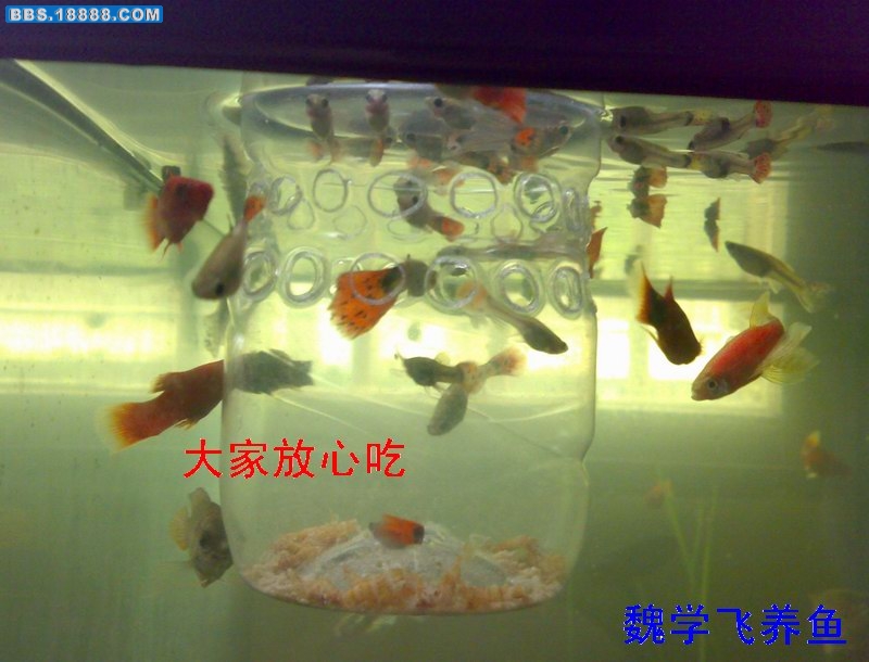 200907113441.jpg
