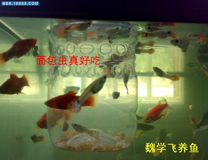 200907113439.jpg