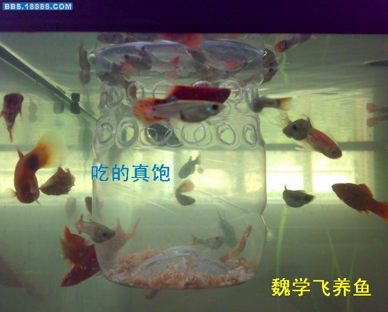200907113437.jpg