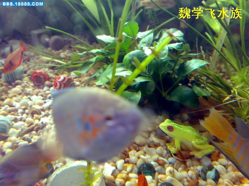 200907013064.jpg