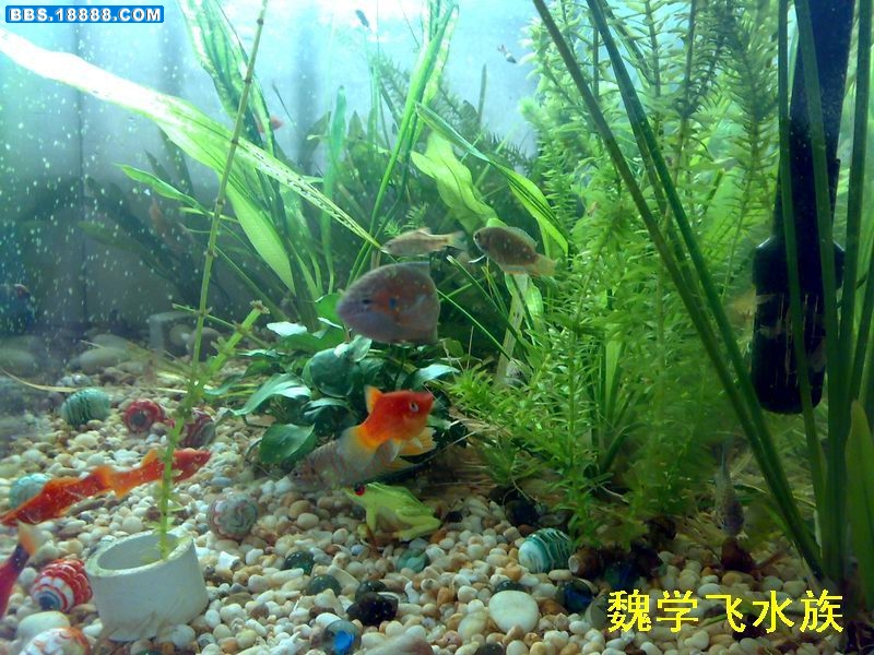 200907013059.jpg